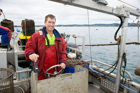 Peninsula Fresh Seafood - Maitland Accommodation 1