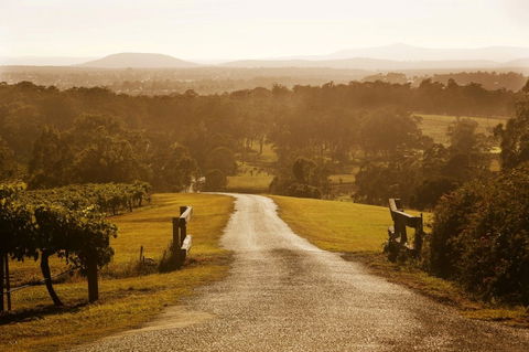 Petersons Wines - Maitland Accommodation 0