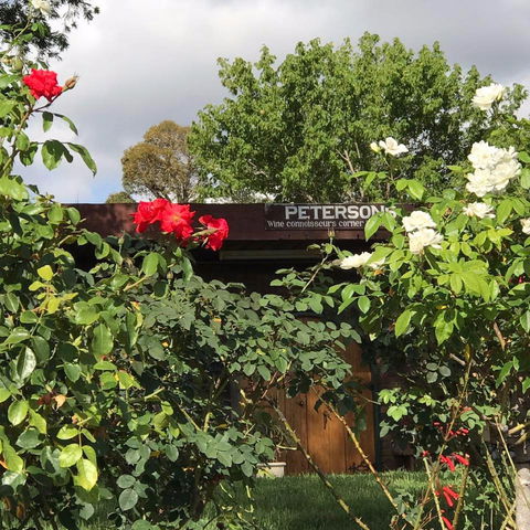Petersons Wines - Maitland Accommodation 1