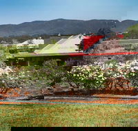 Hanging Tree Wines - Maitland Accommodation