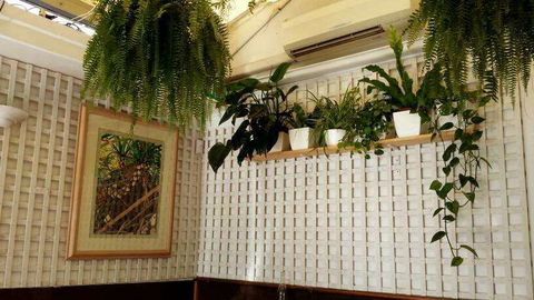 Plane Tree Cafe - Maitland Accommodation 0