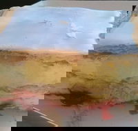 Chirn Park Bakery - Maitland Accommodation