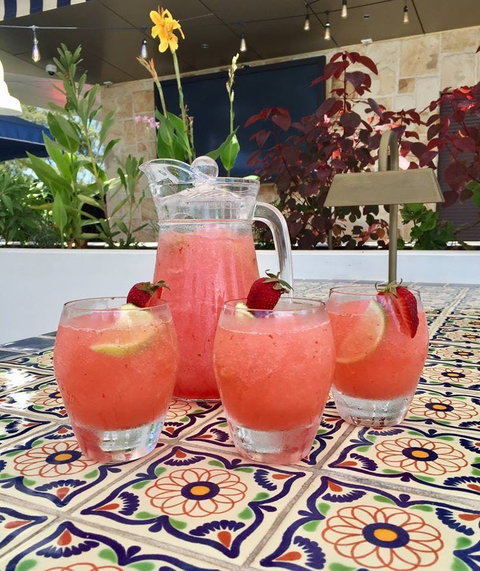 Fillippo's - The Bath Arms Hotel - Burwood - Maitland Accommodation 0