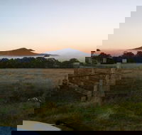 Mountainside Wines - Maitland Accommodation