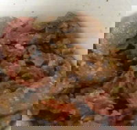 Pastacup - Kwinana Town Centre - Maitland Accommodation