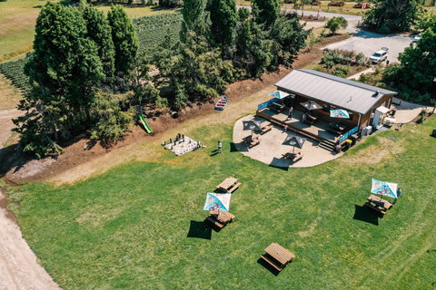 Hillwood Berries Farmgate & Pick Your Own - Maitland Accommodation 1