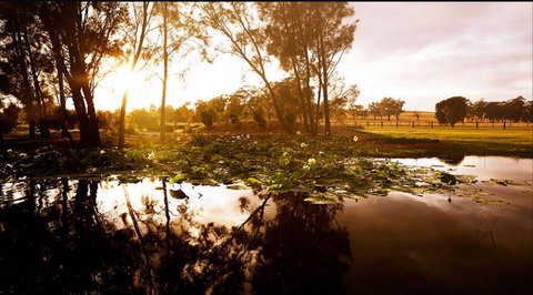 Hunter's Dream - Maitland Accommodation 2