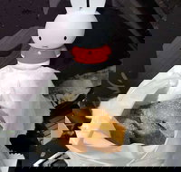 Lil' Orbit - Maitland Accommodation