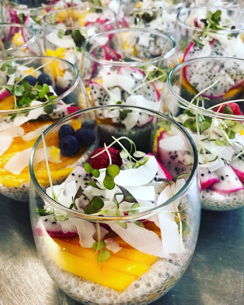 Planted Cootamundra - Maitland Accommodation 0