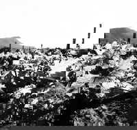 Ballabourneen Wine Co - Maitland Accommodation