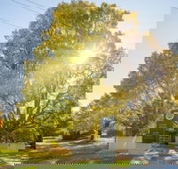 Brown Brothers Milawa Vineyard - Maitland Accommodation