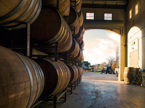 Eling Forest Cellar Door And Cafe - Maitland Accommodation 2