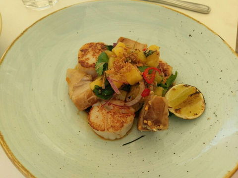 Season - Maitland Accommodation 0