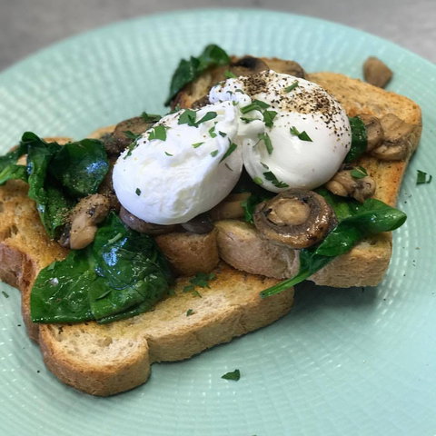 TN Coffee - Maitland Accommodation 0