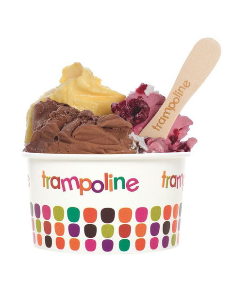Trampoline Gelato - Doncaster - Maitland Accommodation 0