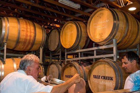 Vale Creek Wines - Maitland Accommodation 1