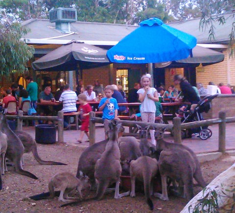 John Forrest Tavern - Maitland Accommodation 1
