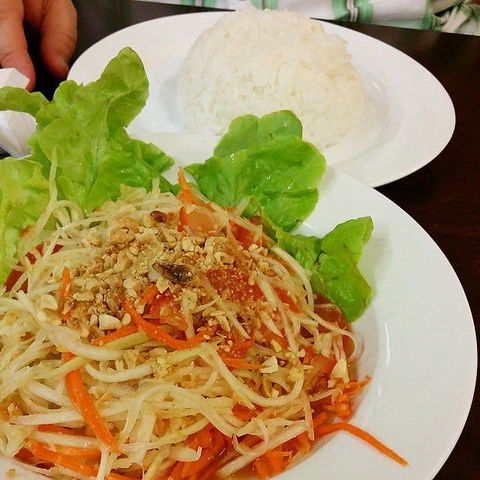 Thai Sensation - Maitland Accommodation 0