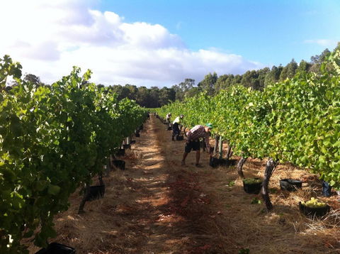 Ashbrook Estate - Maitland Accommodation 1