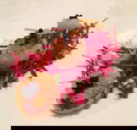 Bellbrae Harvest Restaurant - Maitland Accommodation