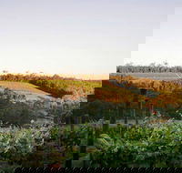 Darlington Estate Winery and Restaurant - Maitland Accommodation