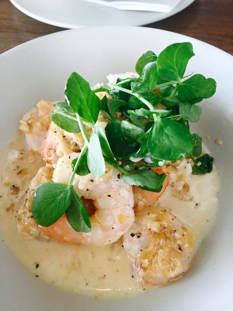 Forage Food Store - Maitland Accommodation 0