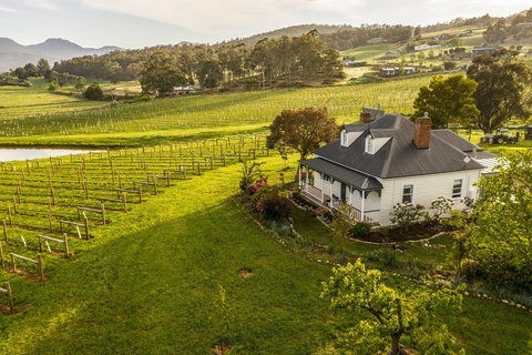 Kate Hill Wines - Maitland Accommodation 0