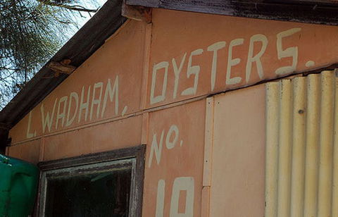 Les Wadham Oysters - Broken Bay Pacific Oysters - Maitland Accommodation 0