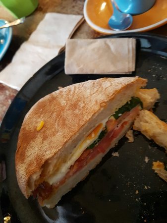 A Man And His Monkey - Maitland Accommodation 0