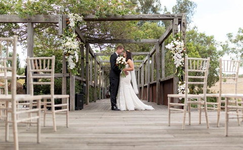 Vines Restaurant At Hollydene Estate - Maitland Accommodation 13