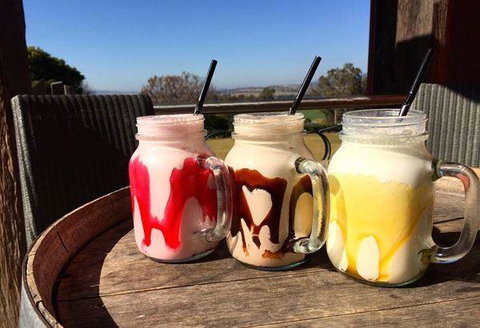 Vines Restaurant At Hollydene Estate - Maitland Accommodation 17