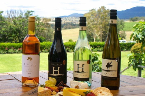 Vines Restaurant At Hollydene Estate - Maitland Accommodation 5