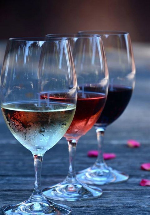 Vines Restaurant At Hollydene Estate - Maitland Accommodation 8