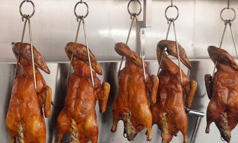 Mr Soy Boy - Maitland Accommodation 0