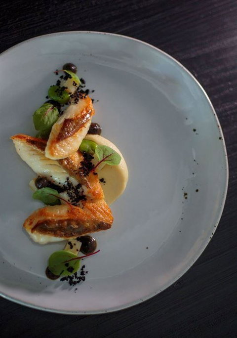 Allium Restaurant & Bar - Maitland Accommodation 7