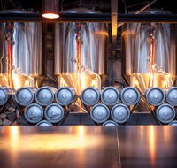 Shambles Brewery - Maitland Accommodation