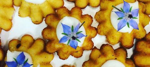 Little Kickerbell - Maitland Accommodation 9