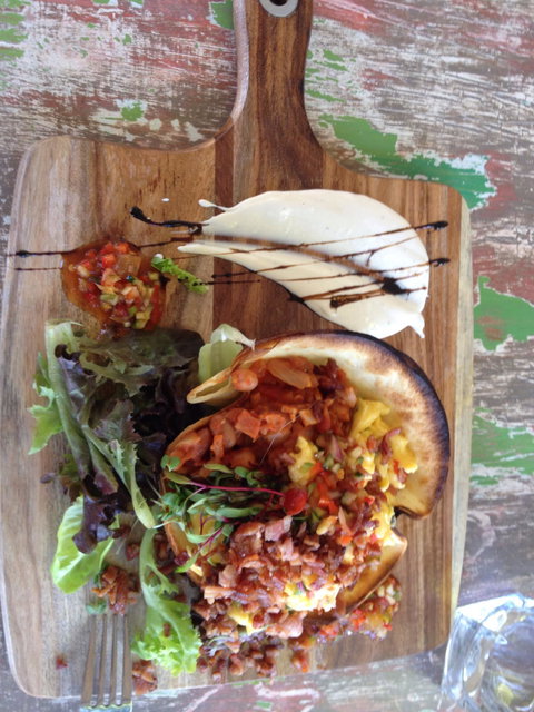 Coco Mojo - Maitland Accommodation 3