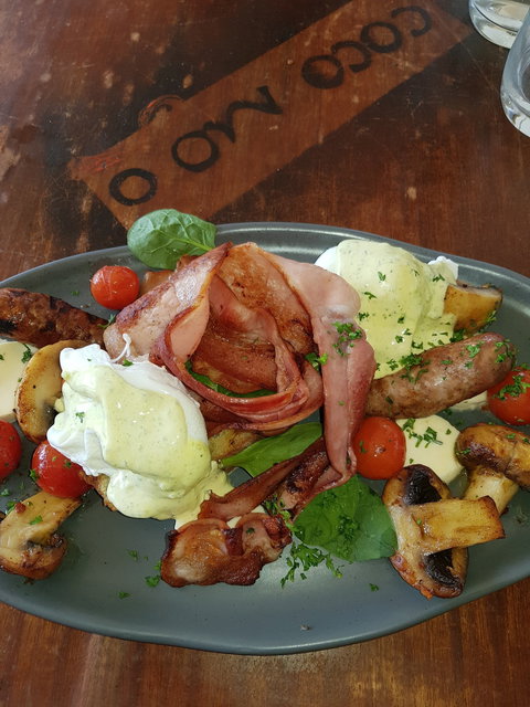 Coco Mojo - Maitland Accommodation 5