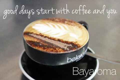 Bayaroma - Maitland Accommodation 0