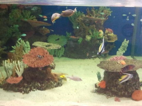 Carmody’s - Maitland Accommodation 1