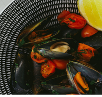 The Italian Diner - Maitland Accommodation