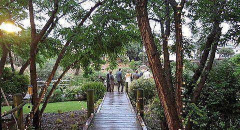 Madame Sousou - Maitland Accommodation 11