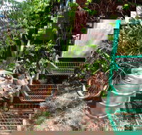 Larrimah Pink Panther Hotel - Maitland Accommodation