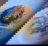 Bayside Inn - Maitland Accommodation