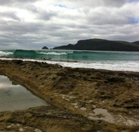 Bruny Island Berry Farm - Maitland Accommodation