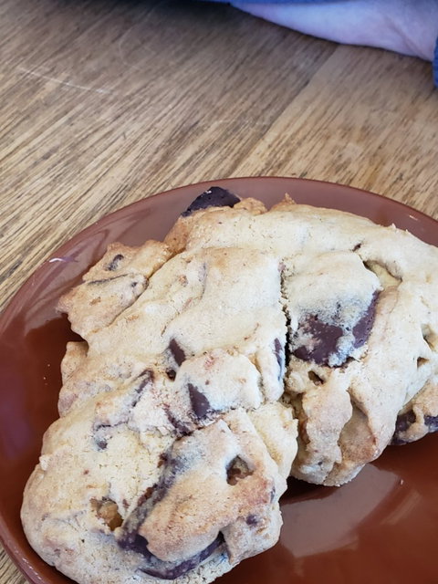 Bruny Island Cafe - Maitland Accommodation 2