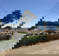 Penguin  Pardalote Coffee House - Maitland Accommodation