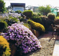 Pipers River Tea House and Crafts - Maitland Accommodation