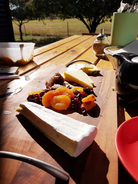 Wicked Cheese Factory - Maitland Accommodation 7